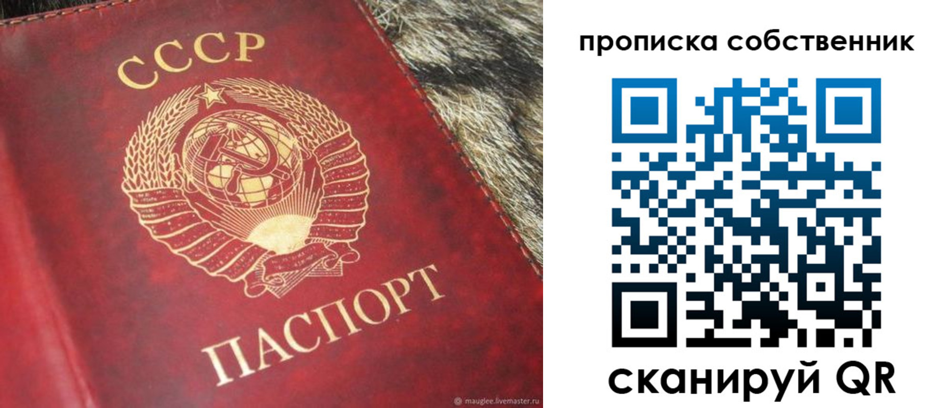 прописка для школы в Шуе